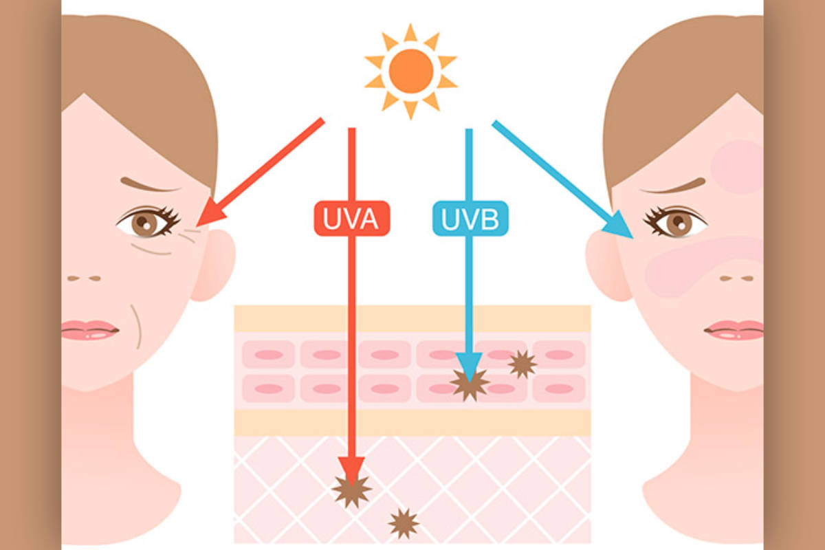 Какое действие оказывают uvb лучи